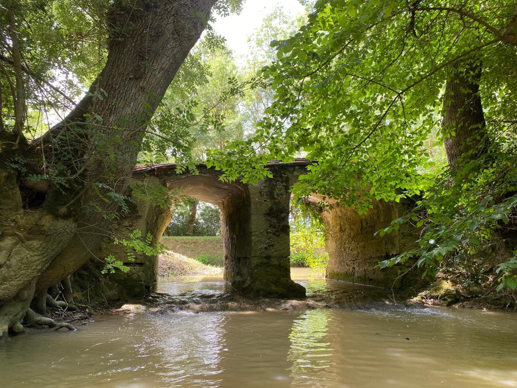 Gite Le Moulin Samsara Homps  Eksteriør billede